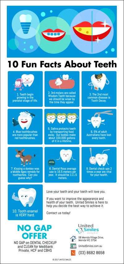 10-Fun-Facts-About-Teeth