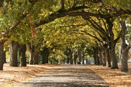 Walkway, Carlton Gardens, Melbourne, Australia