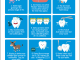 10-Fun-Facts-About-Teeth